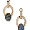 Buy ✨ Anne Klein Gold-Tone Abalone Faceted Orbital Drop Earrings 😉