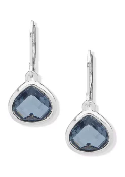 Budget ๐ Anne Klein Silver Tone Blue Drop Earrings ๐ฅฐ